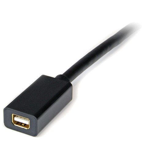 StarTech DisplayPort Male to Mini DisplayPort Female Adapter Cable (3')