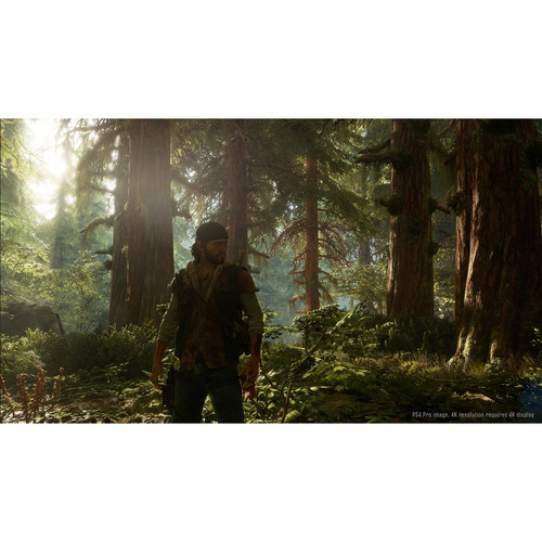 Sony Days Gone (PlayStation 4)