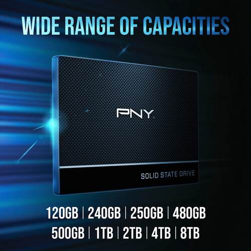 PNY Technologies 250GB CS900 SATA III 2.5