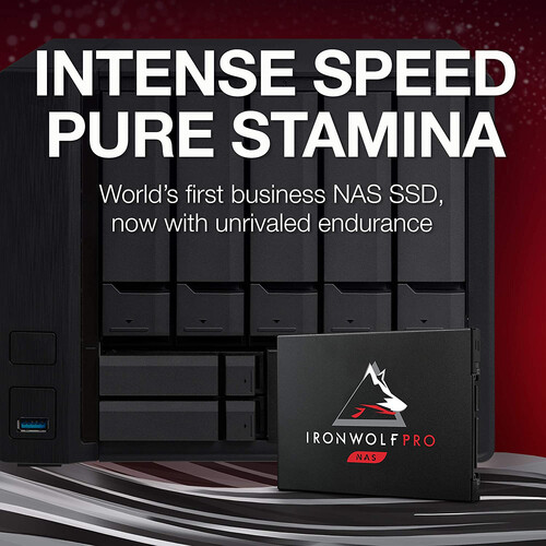 Seagate 3.84TB IronWolf Pro 125 SATA III 2.5
